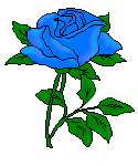 Blue Rose image